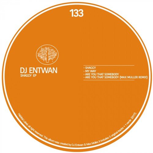 DJ Entwan