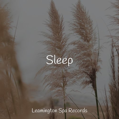 Sleep