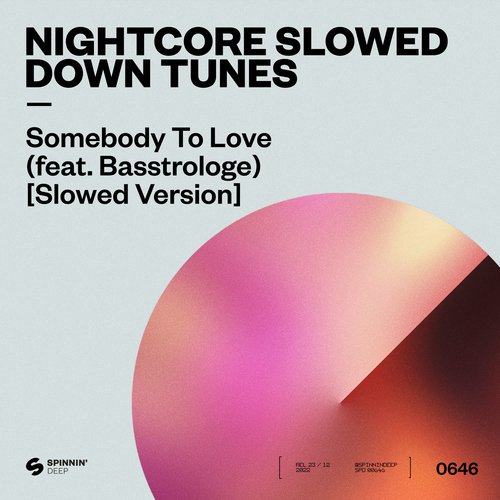 Somebody To Love (feat. Basstrologe) [Slowed Version] cover art