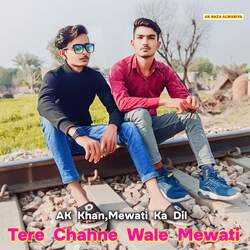 TERE CHAHNE WALE MEWATI-L1oTXgBgUXo