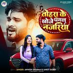 Tohra Ke Khoje Pagal Najariya