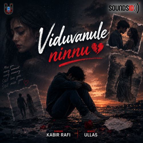 Viduvanule Ninnu