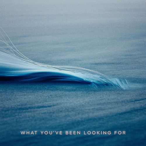 What You've Been Looking For
