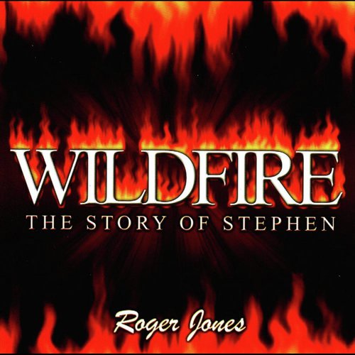 Wildfire - the story of Stephen