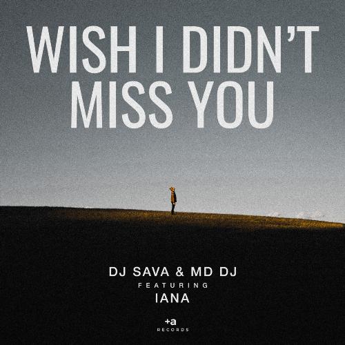 Wish I Didn't Miss You (feat. Iana)