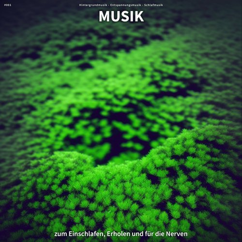 Wellness cover art