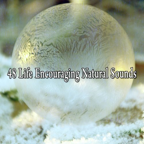 48 Life Encouraging Natural Sounds