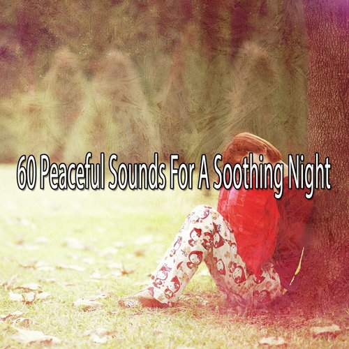 60 Peaceful Sounds for a Soothing Night_poster_image