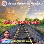 Bandhu Kothay Acho