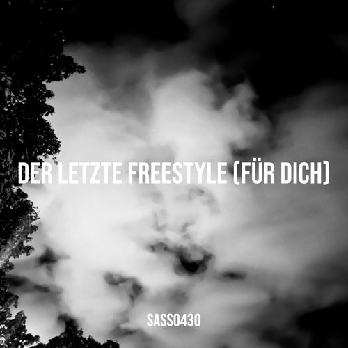 Der Letzte Freestyle (Für Dich) cover art