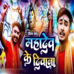 Mahadev Ke Diwana