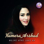 Mujhe Apne Laho Ka - Single
