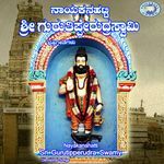 Nayakanahatti Sri Gurutipperudra Swamy