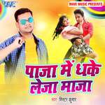 Paja Me Dhake Leja Maja