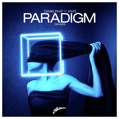 Paradigm (Remixes)