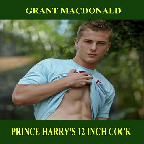 Prince Harry cover art