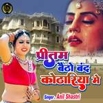 Pritam Baitho Band Kothariya Me (Hindi)