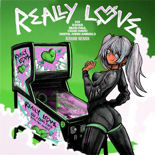 Really Love (feat. R3HAB, Sean Paul, Craig David & Digital Farm Animals) (R3HAB Remix)_poster_image