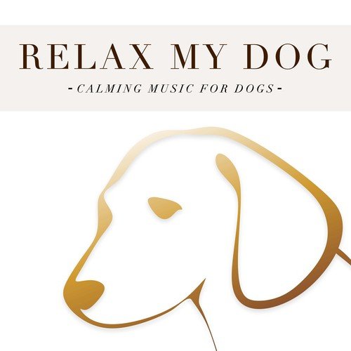 Relax my Dog: Calming Music for Dogs