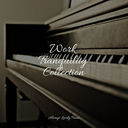 Calming Waters cover art