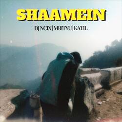 Shaamein-QlgmBi12QWE