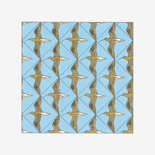 Simmerdim: Curlew Sounds