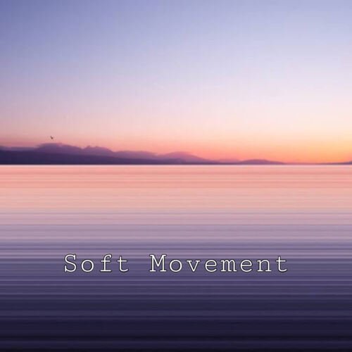 Soft Movement