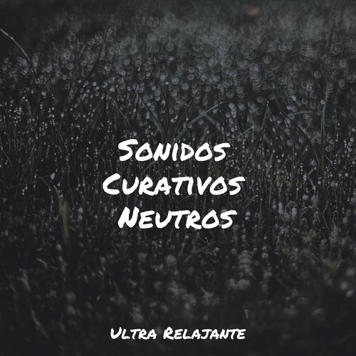 Sonidos Curativos Neutros