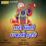 Tari Dholi Dhajao Farke