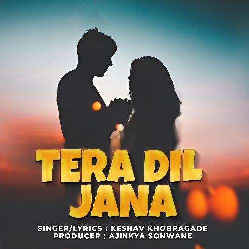 Tera Dil Jana