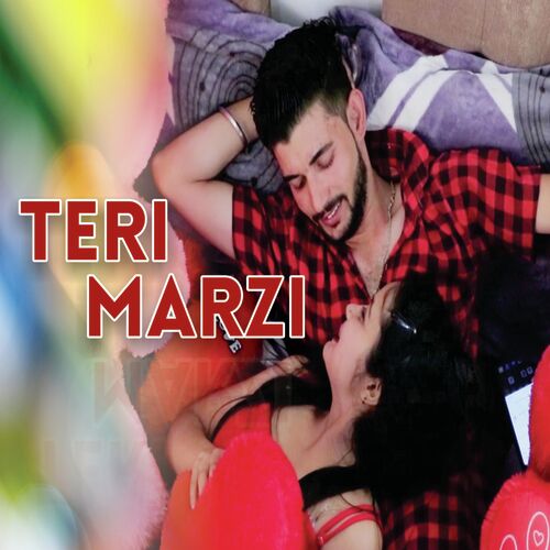 Teri Marzi