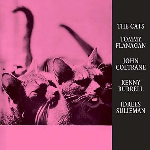 The Cats