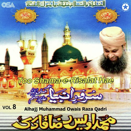 Too Sham-e-Risalat Hae, Vol. 8_poster_image