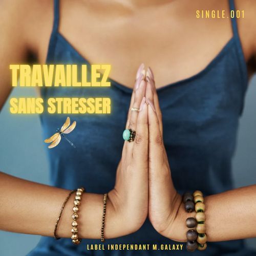 Travaillez sans stresser cover art