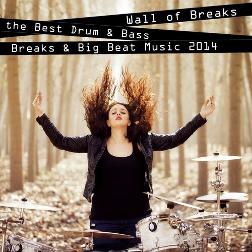 Wall of Breaks - The Best Drum & Bass, Breaks & Big Beat Music 2014