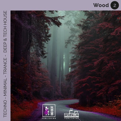 Saint cover art