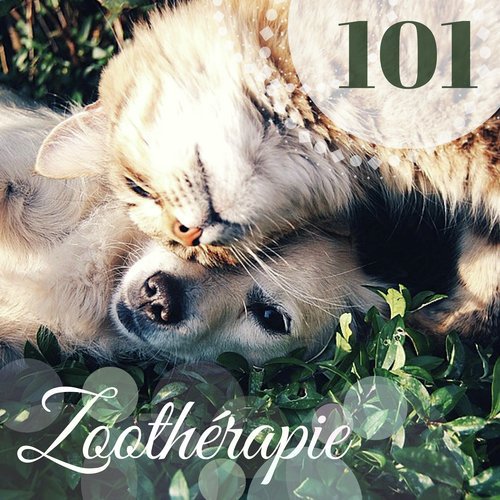 Zoothérapie 101 - Thérapie pour animaux, musique relaxante pour chein et chats