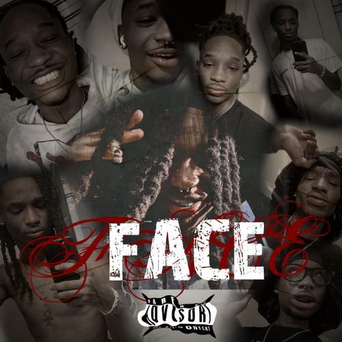 face cover art
