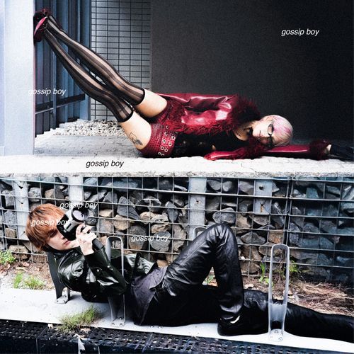 gossip boy