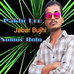pakhi ure jabar bujhi somoy holo