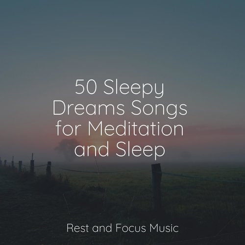 50 Sleepy Dreams Songs for Meditation and Sleep_poster_image