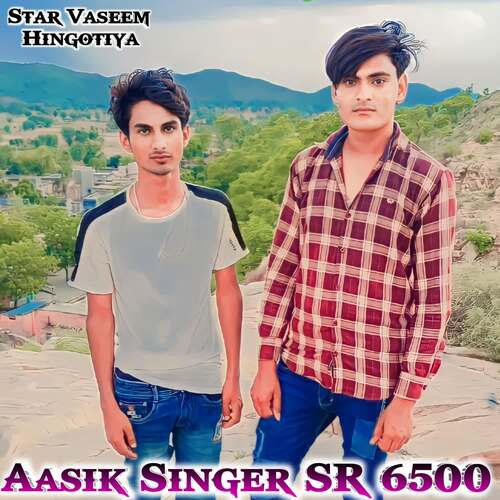 Aasik Singer SR 6500