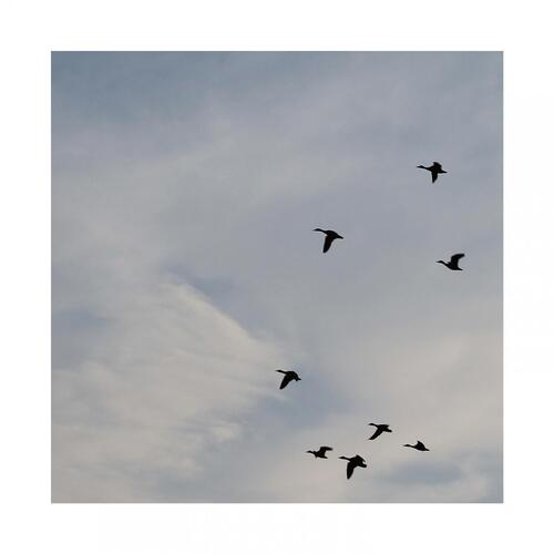 Saudade cover art