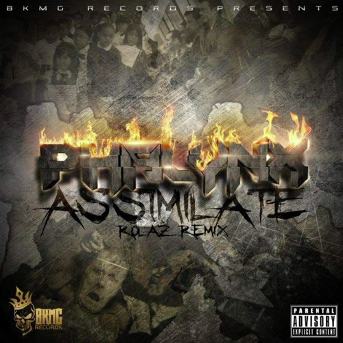 Assimilate (Rolaz Remix) cover art