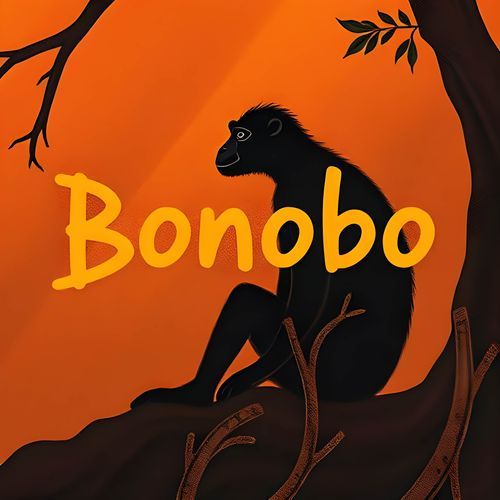 Bonobo cover art
