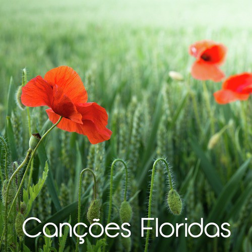 Canções Floridas