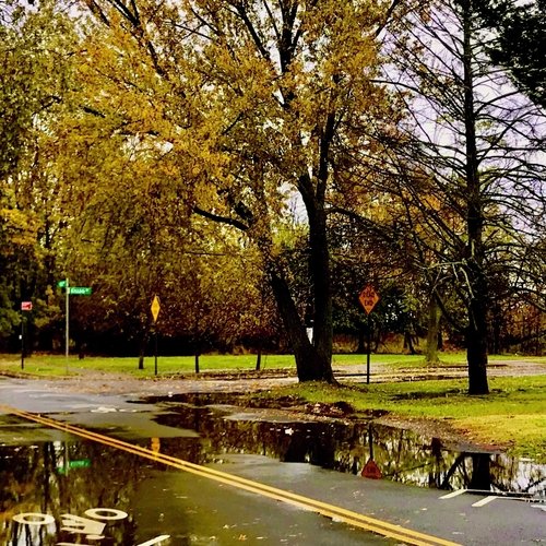 Go for a Walk cover art