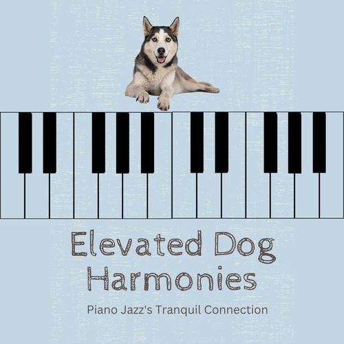 Euphonic Dog Jazzed Harmony: Piano's Enchanted Connection cover art
