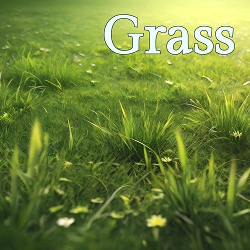 Grass cover art