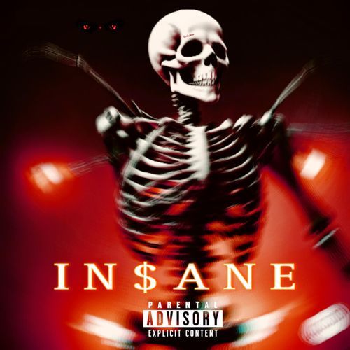 INSANE cover art
